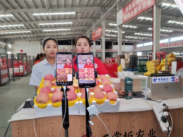 jackpot(中国区)官方网站