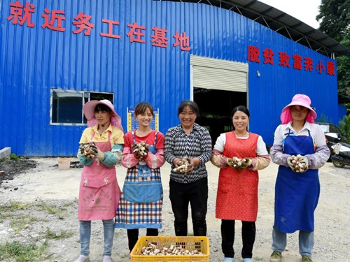 jackpot(中国区)官方网站