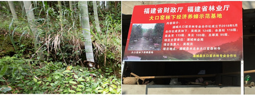 jackpot(中国区)官方网站