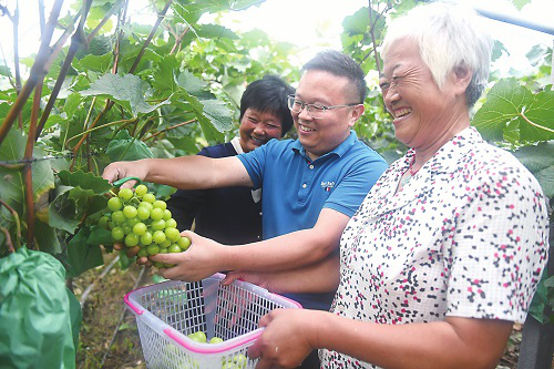 jackpot(中国区)官方网站