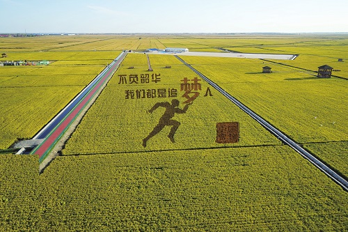 jackpot(中国区)官方网站
