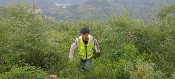 jackpot(中国区)官方网站