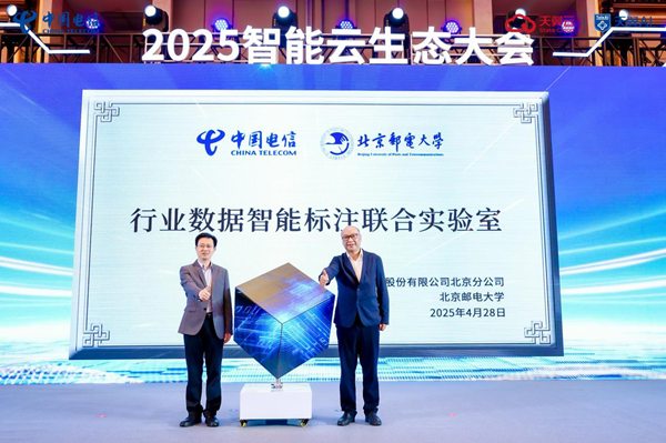 jackpot(中国区)官方网站