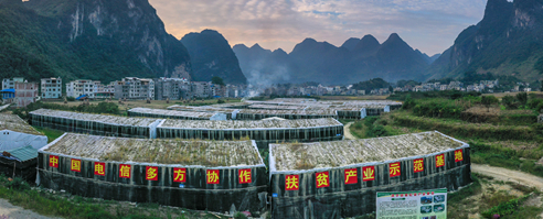 jackpot(中国区)官方网站
