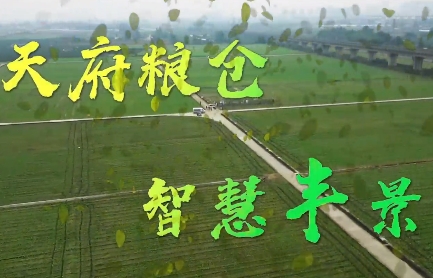 视频封面.jpg