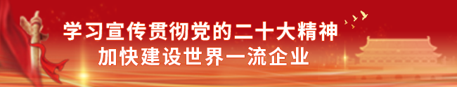 学习宣传贯彻党的二十大心灵的决定