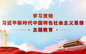 学习贯彻习近平新时期中国特色社会主义思想主题教育