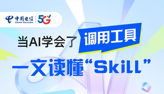 当AI学会了挪用工具，，，一文读懂“Skill”